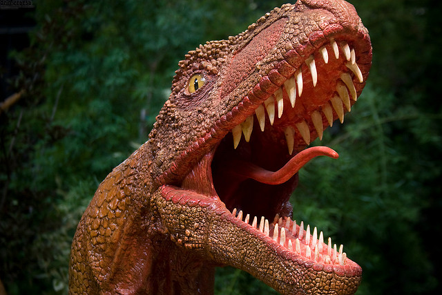 Picture of velociraptor