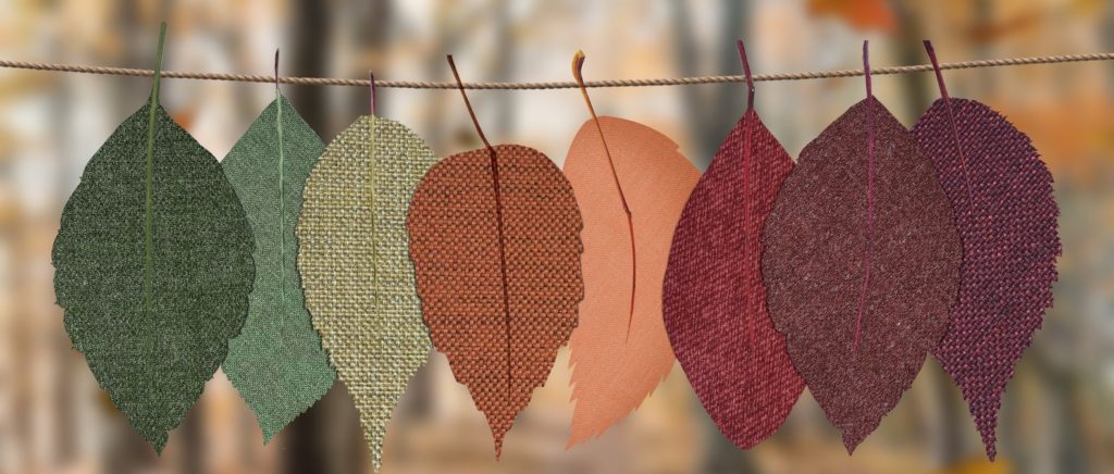 8 autumn leaves on a line, illustrating 8 money concepts